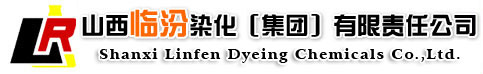 山西臨汾染化（集團）有限責任公司